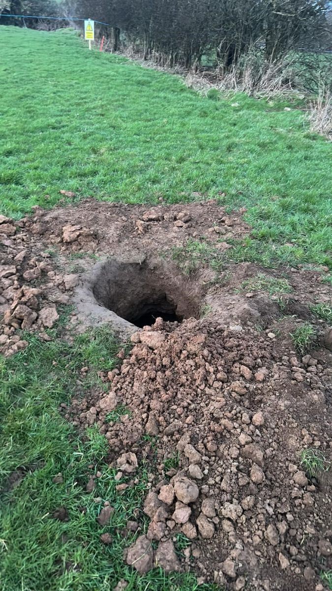 Badger Sett Disturbed