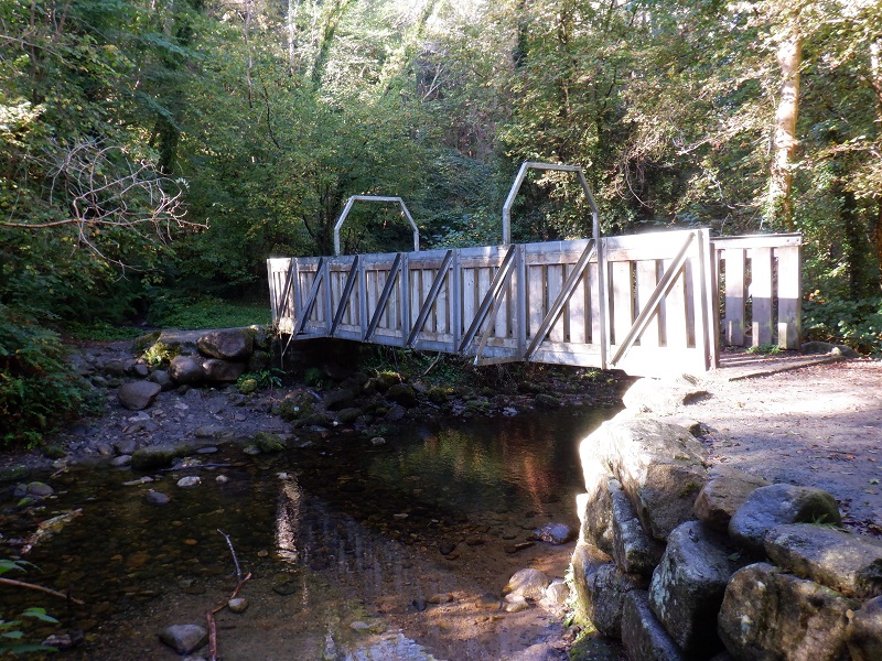 Footbridge over Knocksink River