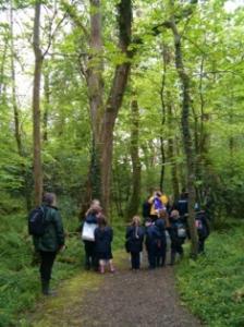 People walking in woods