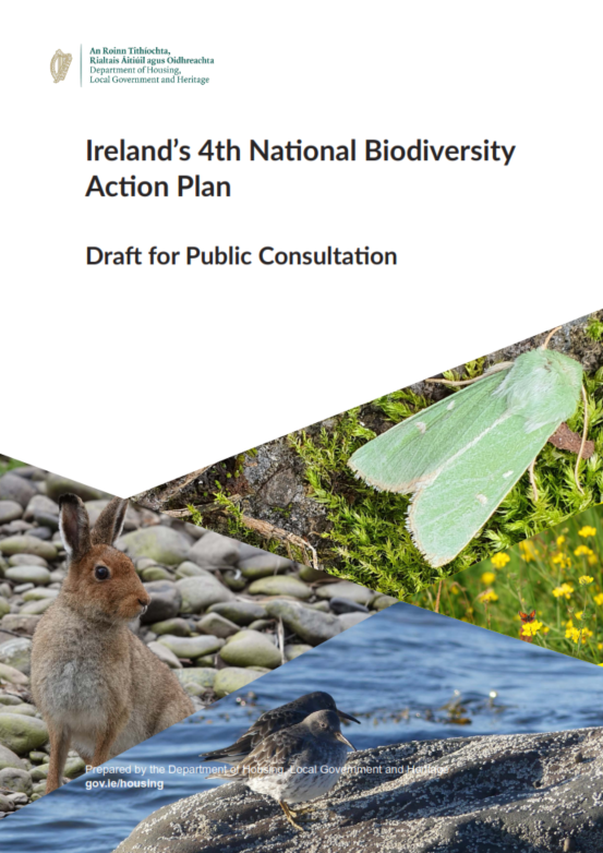 Draft National Biodiversity Action Plan