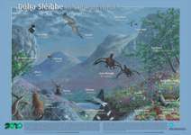 Mountain Wildlife poster