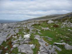 Limestone Pavement - Black Head 2