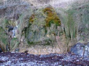 Petrifying Spring, Skerries