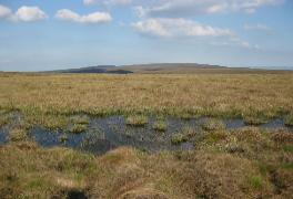 Slieve Bloon NR - plateau and bog pool