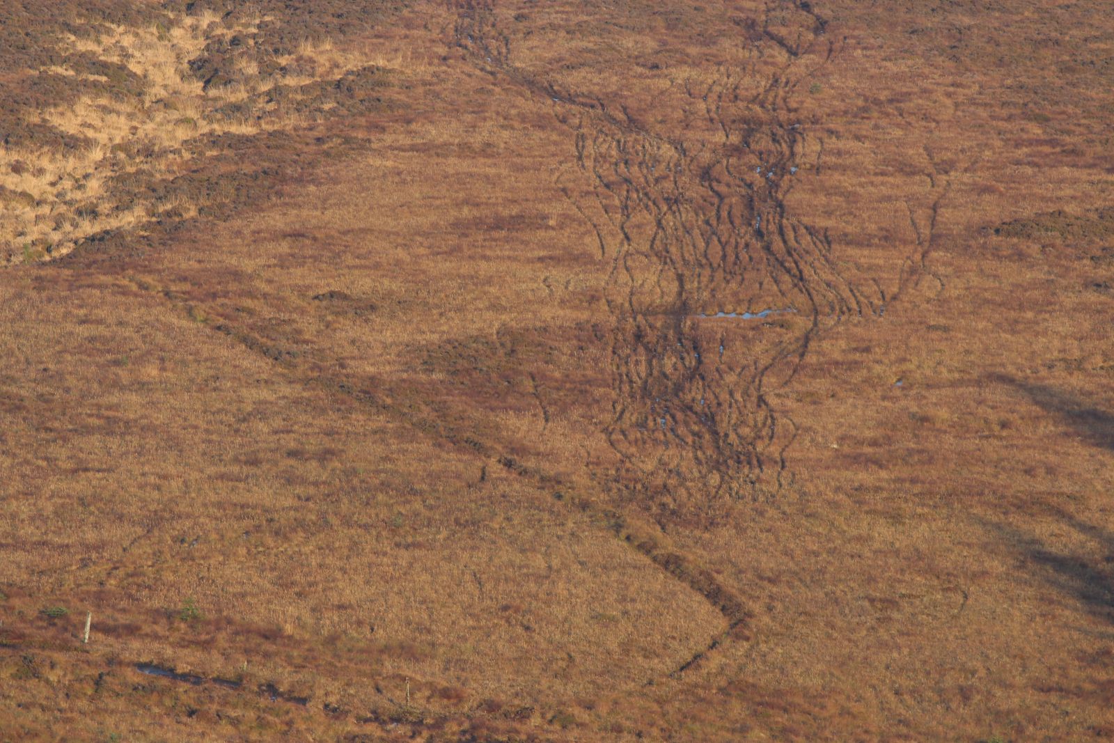 ATV Damage: Wicklow Mountains SAC