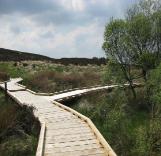 Slieve Bloom NR boardwalk