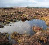 Slieve Bloom NR