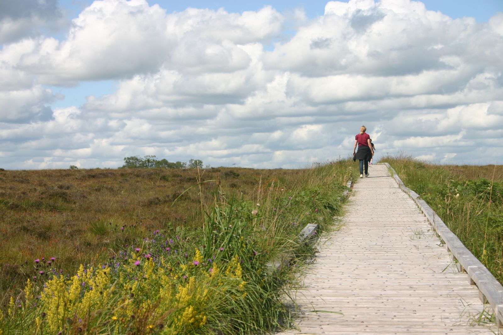 Clara Boardwalk