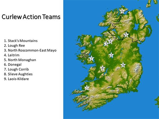 Ireland map showing curlew action teams