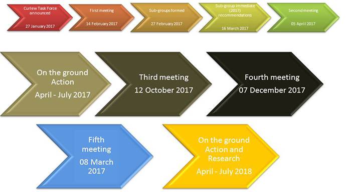 Image of Curlew Task Force timeline