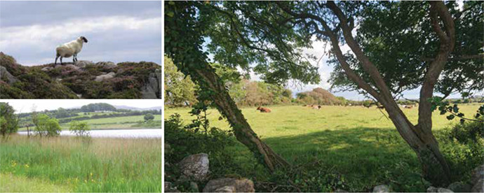 Farming for Nature - collage