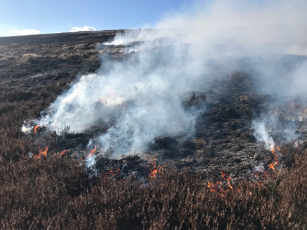 Wicklow Mountains Fire