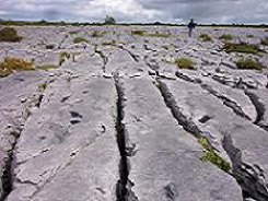 Sheshymore Limestone Pavement