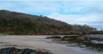 Old Head Wood nature reserve