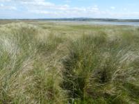 Photo of Lough Banna