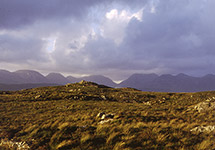 Image of blanket bog