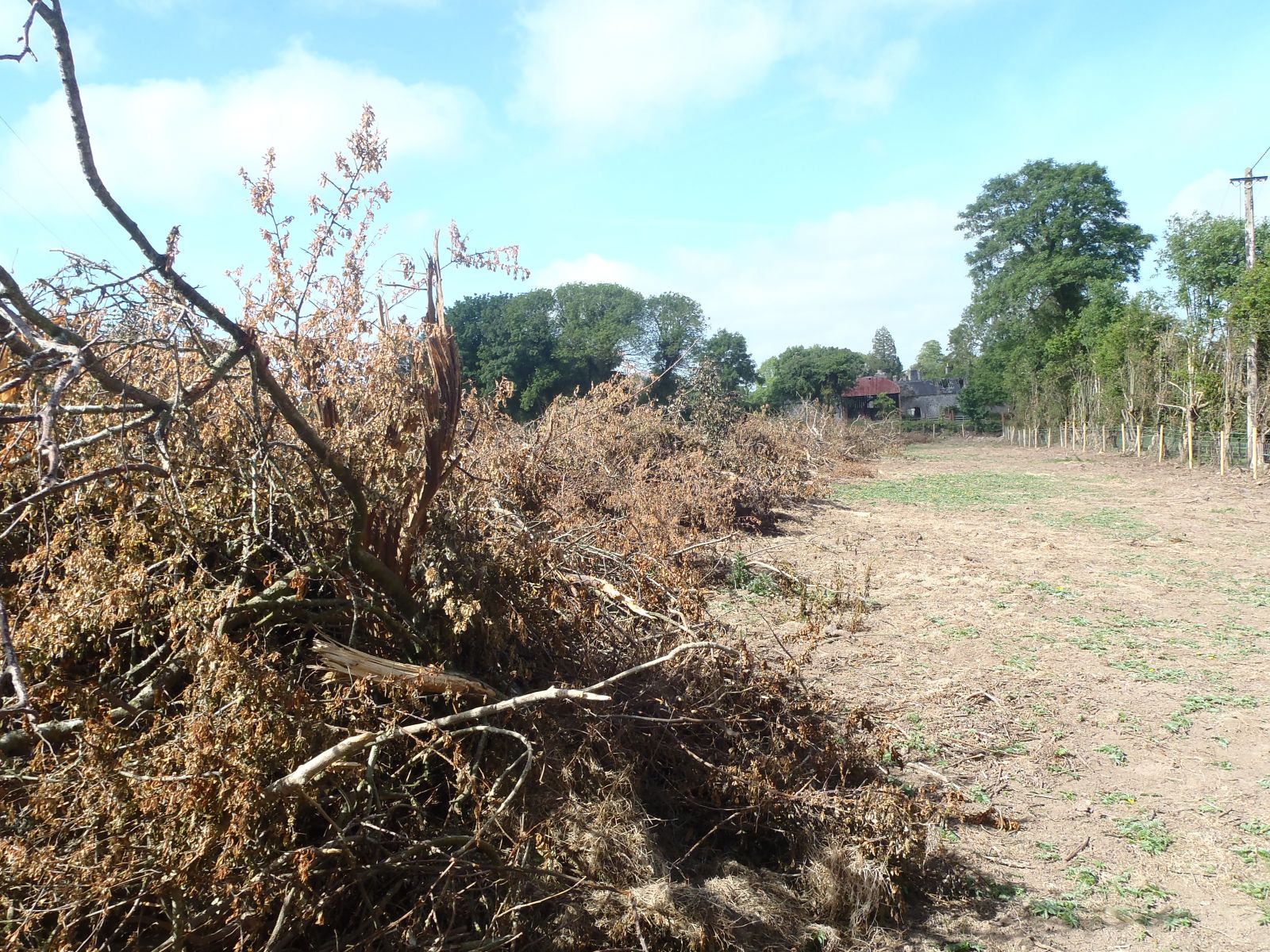 Vegetation Destruction