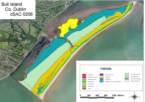 Saltmarsh survey graphic