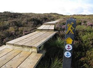 Board walk trails