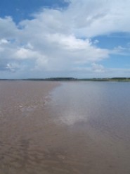 Tralee Bay Sandflat