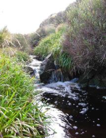 Upland stream