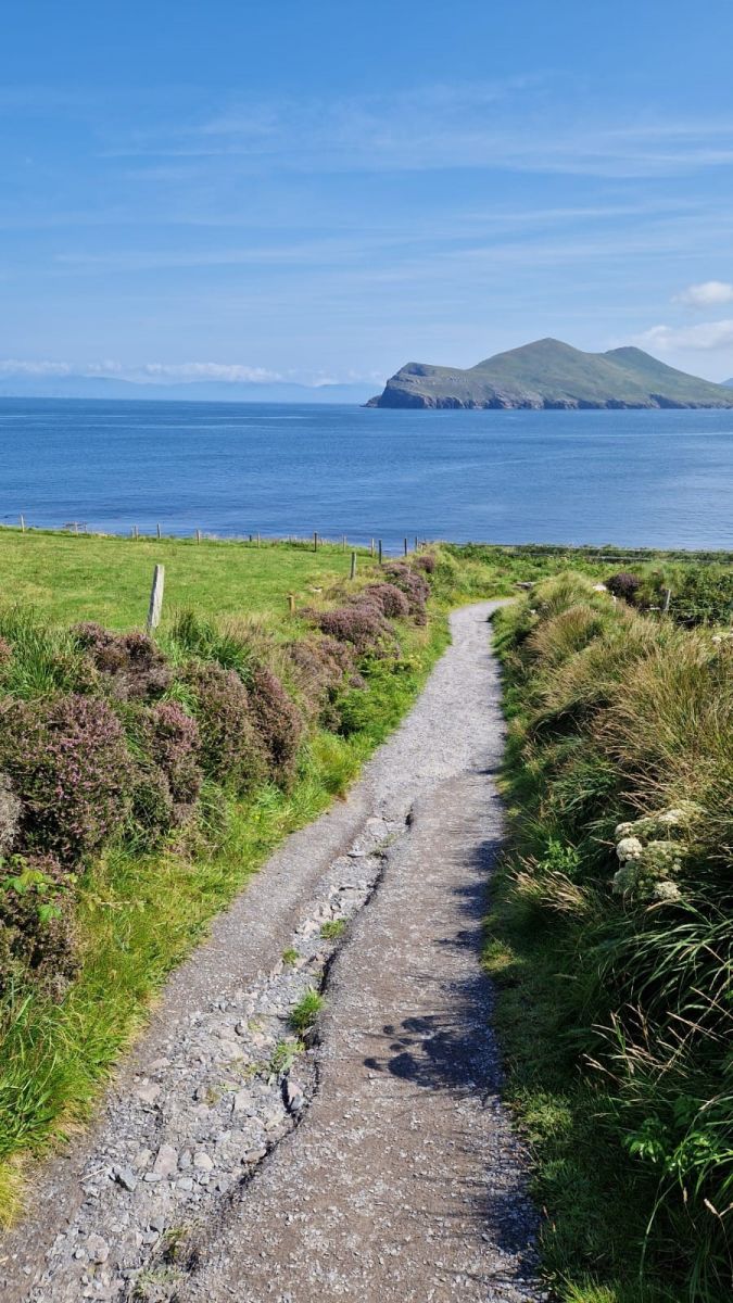 Valentia Tetrapod Trackway Site