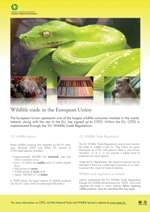 CITES wildlife trade poster thumbnail image