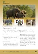 CITES Elephants poster thumbnail image