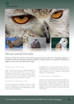 CITES Falconry poster thumbnail image