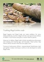 CITES Illegal Timber Trade poster thumbnail image