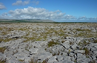 Image of limestone pavement landscape