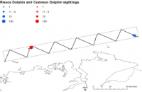 Figure showing location of sightings and numbers of dolphins recorded during the survey in August 2012