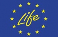 KerryLIFE logo