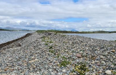 Perennial vegetation of stony banks at Bartraw Strand by SSI for NPWS