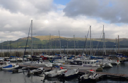 Carlingford Marina