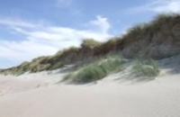 Image of beach and sand dunes