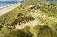 Image of sand dune system