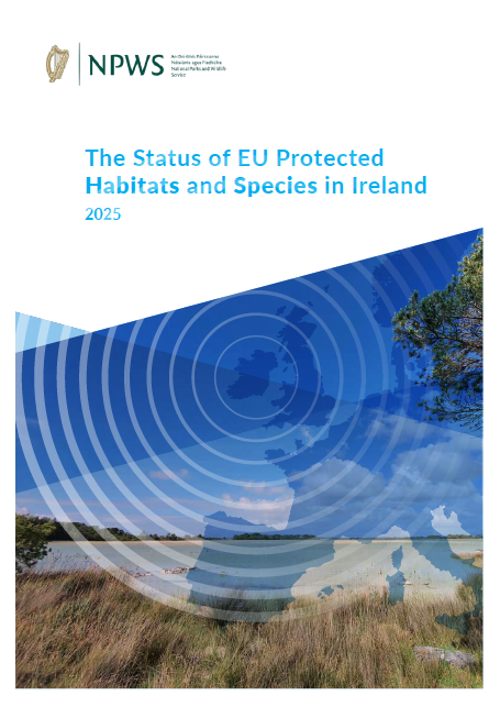 Article 17 Overview Report 2025 - Volume 1